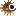 Porcupine Fish